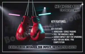 Best Boxing Gloves for Beginners (Guide) 10 The Ultimate Buying Guide to Understanding & Finding Your Solid & Reliable Options Higher Mid-Range Gloves