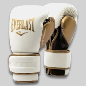 Professional Everlast Boxing Gloves 16oz – Durable Synthetic Leather Design